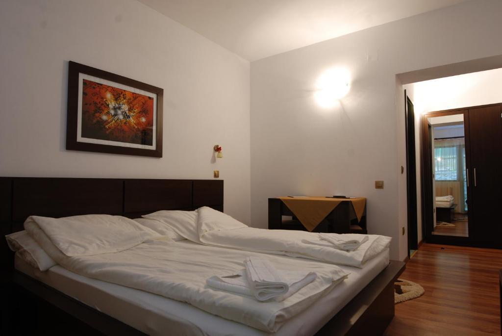 Pension Casa Natura Бэиле-Еркулане Экстерьер фото