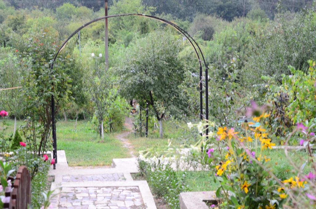 Pension Casa Natura Бэиле-Еркулане Экстерьер фото
