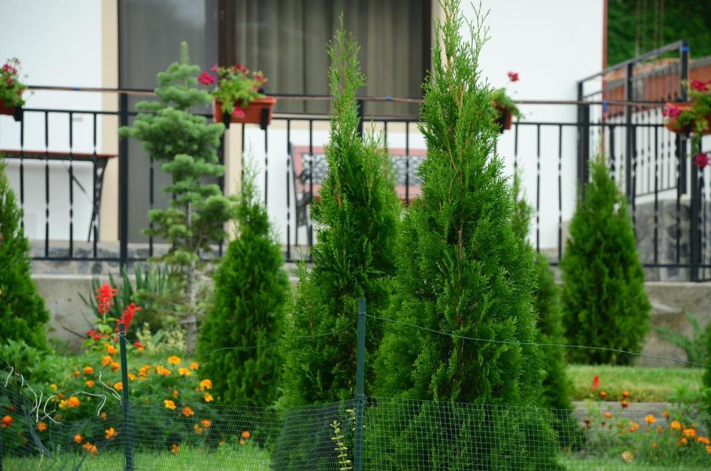 Pension Casa Natura Бэиле-Еркулане Экстерьер фото