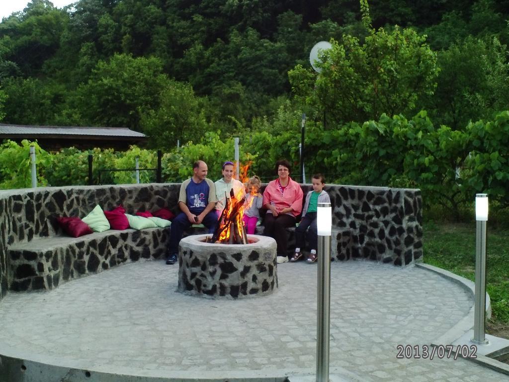Pension Casa Natura Бэиле-Еркулане Экстерьер фото