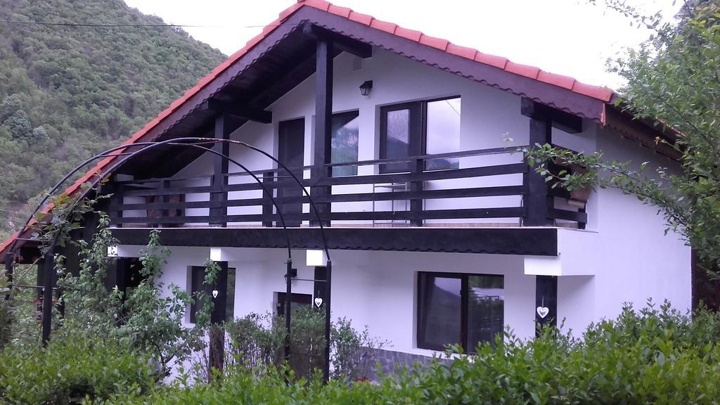 Pension Casa Natura Бэиле-Еркулане Экстерьер фото